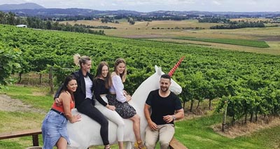 Yarra Valley Winery Tours from Melbourne